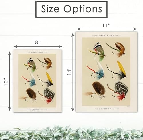 DREAM BIG PRINTABLES Vintage Fly Fishing Art Prints (Set of 4) - Unframed - 8x10 | Fishing Lure Wall Decor for Fisherman