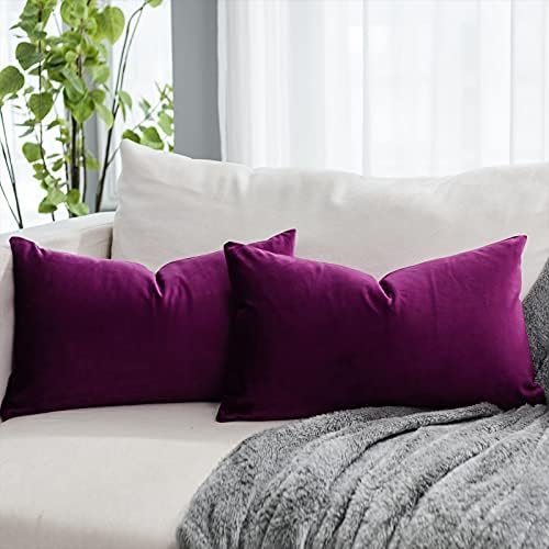 Purple Decorative Lumbar Velvet Throw Pillow Covers 16x24 inch Set of 2 with Zipper Luxury Soft Solid Rectangle Cushion Covers Case for Sofa Couch Bed Living Room