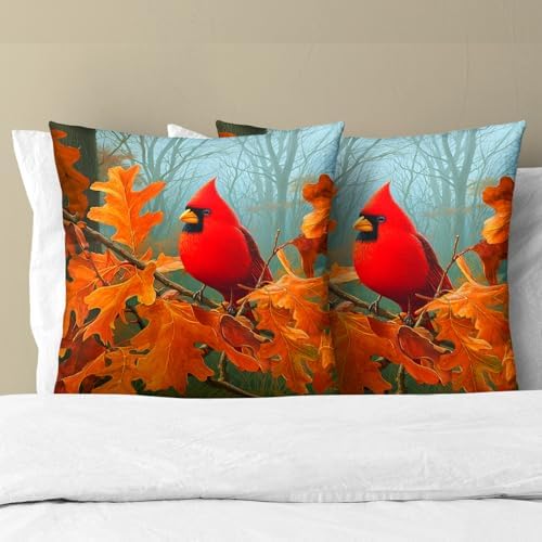 Fall Cardinal Throw Pillow Covers 20x20 Inch Set of 2 Red Bird Maple Leaves Decorative Pillowcase Autumn Foreset Landscape Seasonal Cushion Cover for Home Bedroom Sofa Chair Decor