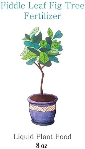 Fiddle Leaf Fig Tree Fertilizer | Ficus Plant Food | Improves Leaves and Branches | Potted Indoor Trees and House Plants Treatment by Aquatic Arts