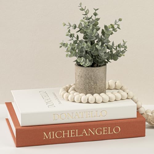 Aesthetic Faux Books for Home Decor (Set of 2) - Decorative Book Boxes with Hidden Storage - Ideal for Coffee Table, Living Room, Entryway & Bookshelf - Beige/Terracotta Linen