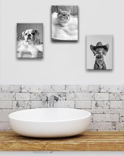 KensTro 12x16 Funny Vizsla Cowboy Bathroom Wall Art, Black and White | Black and White Vizsla Cowboy Canvas Wall Art with Humorous Animal Design for Bathroom, Powder Room or Guest Bath