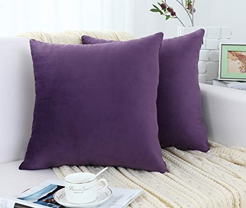Jeneoo Comfy Soft Thick Velvet Throw Pillow Covers for Sofa Couch, Decorative Solid Square Cushion Cases for Bedroom Car (Eggplant Purple, 16 x 16 Inches, 2 Pieces)