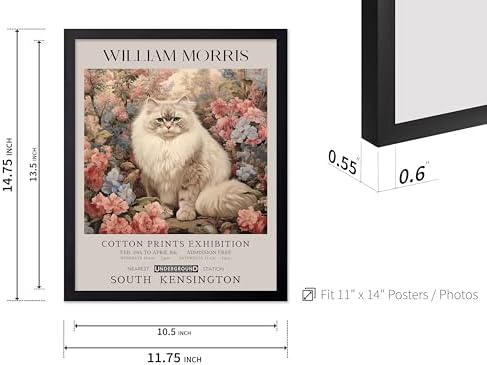 Poster Master Persian Cat Print - Flower Art - Botanical Design - Exhibition Display - Animal Illustration - Floral Painting - Cat Illustration - Aesthetic Office or Bedroom Decor - 11x14 Black Framed
