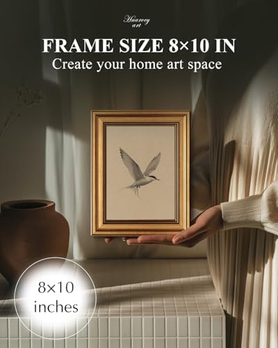 WHASAYART Gold Framed Vintage Wall Art for Living Room, Birds Animals Painting Prints Shelf Decor for Kitchen, Sketch Artwork Aesthetic Bedroom Wall Art, Gifts for Friends or Family - Tern 10L x 8W