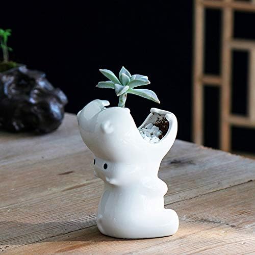 Succulent Pot Planters Outdoor Decor Outdoor Planter Plants Patio Balcony Yard Lawn Ornament Home Office Room Decor Gardening Gifts (5" Hippo)