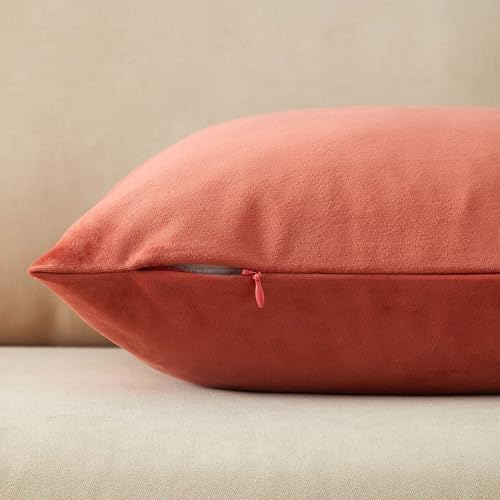 JUSPURBET 22x22 Decorative Velvet Throw Pillow Covers Set of 2,Apricot