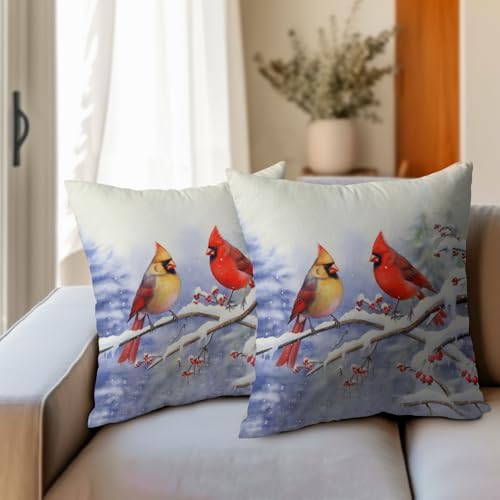 Cardinal Birds Throw Pillow Cover Winter Sweet Bird Pillowcase 24x24 Inch Set of 2 Christmas Holiday Cushion Covers for Home Patio Sofa Bedroom Decor