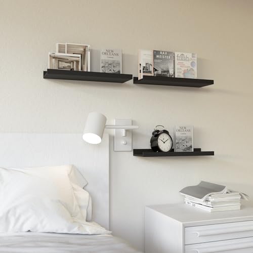 RICHER HOUSE 3-Set Floating Shelves with Lip, Black Small Wall Shelf, 16In