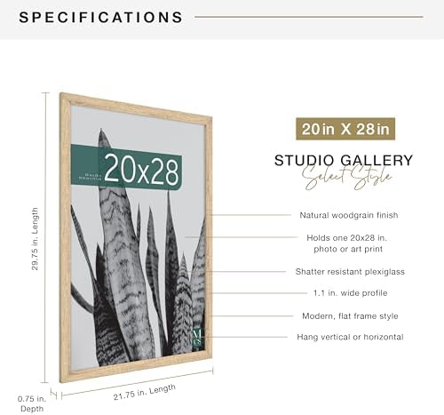 MCS Studio Gallery Poster Frame, 20x28, Natural Woodgrain, 1-Pack
