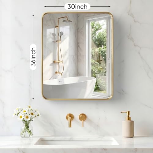NEWBULIG 30"x36" Wall Mirror, Bathroom Mirrors for Over Sink, Gold | Matte Metal Framed Vanity Mirror with Tempered Glass, Entryway, Living Room, Bedroom
