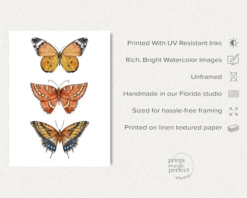Prints Made Perfect Orange Butterfly Wall Art – Watercolor Butterfly Print – Botanical Insect Nature Decor – Cottagecore Bedroom Wall Decor – 11x14 Unframed Linen Paper