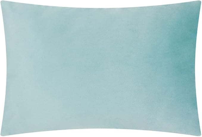 JWH Love Birds Throw Pillow Cover, Blue Green, 14x20 Inch | Velvet, Hummingbirds Flowers Print, Decorative Couch Bed Bedroom Car Chair Accent Pops
