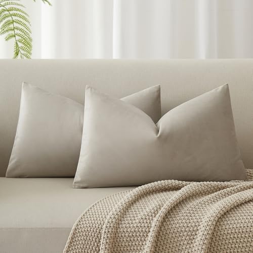 JUSPURBET 16x24 Lumbar Velvet Throw Pillow Covers Set of 2,Cloud