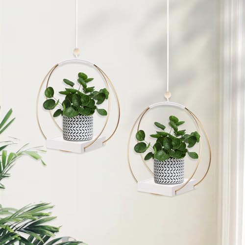 hismocal 2 Pack Hanging Planter Holder for Indoor Plants, Plant Hanger with Sturdy Wood Base,Modern Boho Macrame Wall Ceiling Window Stands(Plants/Pots Not Included)
