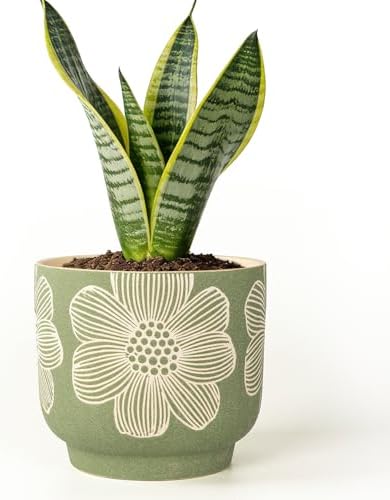 6 Inch Ceramic Plant Pots with Drainage Holes for Indoor Plants
