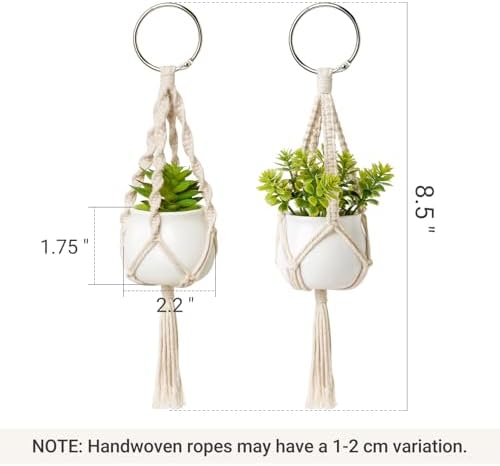 Dahey 2 Pack Mini Macrame Succulent Plant Hangers for Car Rearview Mirror