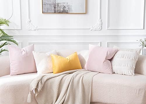 JUSPURBET 24x24 Euro Velvet Throw Pillow Covers Set of 2,Pink