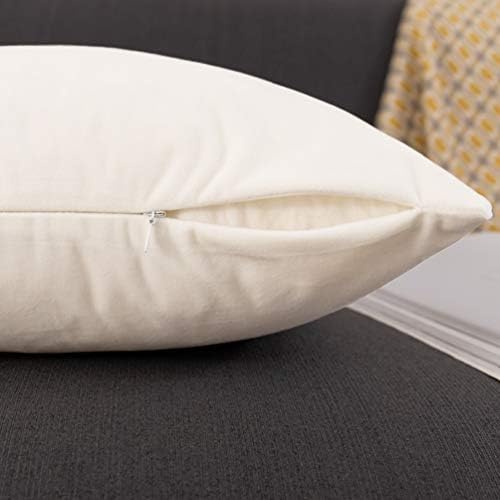 Jeneoo Comfy Soft Velvet Throw Pillow Covers for Sofa Couch, Decorative Solid Square Cushion Cases for Bedroom Car (Off White, 18 x 18 Inches, 2 Pieces