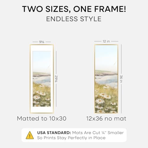 Homeforia 12x36 Gold Picture Frame, High-End Metal, 10x30 Mat, Glass