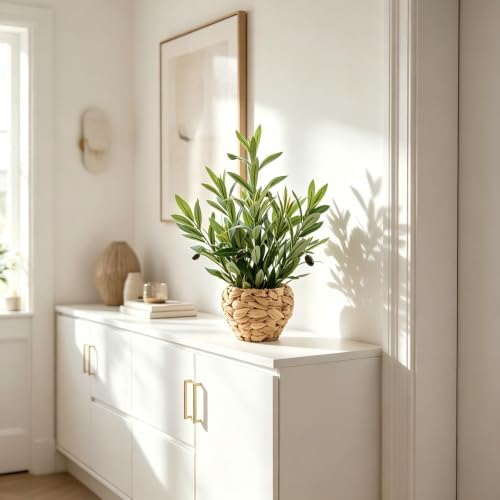 AlphaAcc Fake Potted Plant Small Olive Water Hyacinth Mediterranean Decor