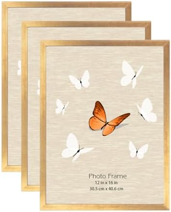 12x16 Picture Frame Gold 3 Pack, Poster Frames 12 x 16 without Mat for Wall, Horizontal or Vertical Wall Mounting