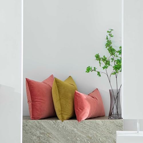 Coral Decorative Velvet Throw Pillow Covers 18x18 inch Set of 2 with Zipper Luxury Soft Solid Square Cushion Covers Case for Sofa Couch Bed Living Room