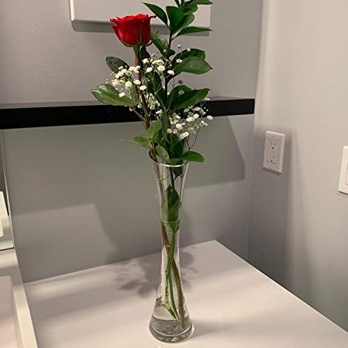 WGV Maria Bud Vase Bulk, Width 2", Height 10", Clear Slant Cut Opening Gathering Concaved Glass Floral Container Centerpiece for Wedding Party Event Home Office Decor, 24 Pieces