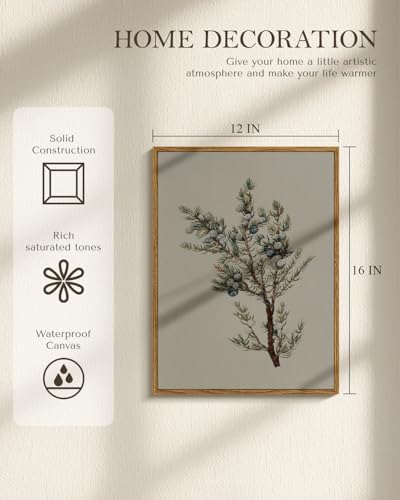 WHASAYART Vintage Botanical Framed Juniper Berry Canvas Wall Art 12x16 | Juniper Berry Plant Print Illustration Artwork, Rustic Farmhouse Christmas Winter Decor for Living Room Bedroom Kitchen