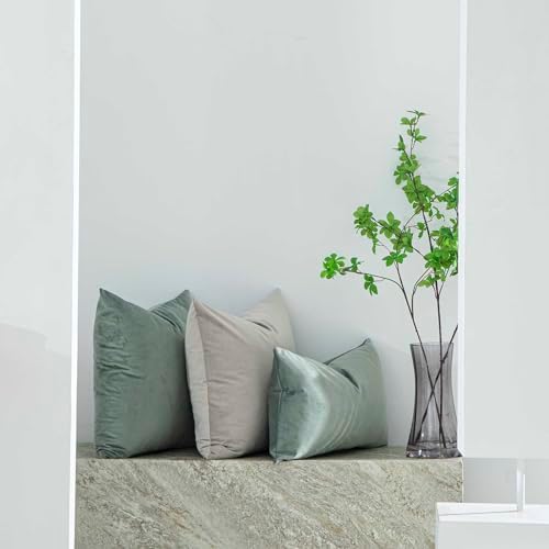Eucalyptus Decorative Velvet Throw Pillow Covers 24x24 inch Set of 2 with Zipper Luxury Soft Solid Square Cushion Covers Case for Sofa Couch Bed Living Room