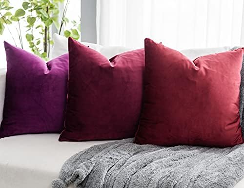 Purple Soft Velvet Throw Pillow Covers 24x24 inch Set of 2 for Sofa Couch Bed Living Room Decorative Luxury Solid Rectangle Cushion Covers Case with Zipper