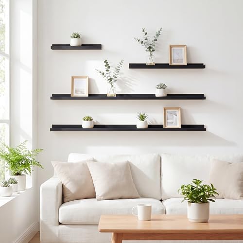 Acovy Floating Shelves Set of 6, 24 Inch Wall Mounted Picture Ledge Shelf with Lip, Black Display Shelves for Living Room, Bedroom, Nursery, Bathroom & Kitchen