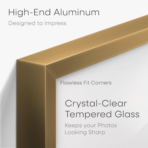 Homeforia 14x20 Bronze Diploma Frame, High-End Metal, 8.5x11 Mat, Glass
