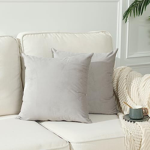 Stellhome Super Soft Velvet Square Throw Pillow Covers for Bed Couch Sofa Bench, 16 x 16 inch (40 x 40 cm), Silver Gray, Pack of 2