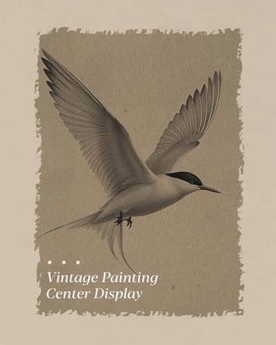 WHASAYART Gold Framed Vintage Wall Art for Living Room, Birds Animals Painting Prints Shelf Decor for Kitchen, Sketch Artwork Aesthetic Bedroom Wall Art, Gifts for Friends or Family - Tern 10L x 8W