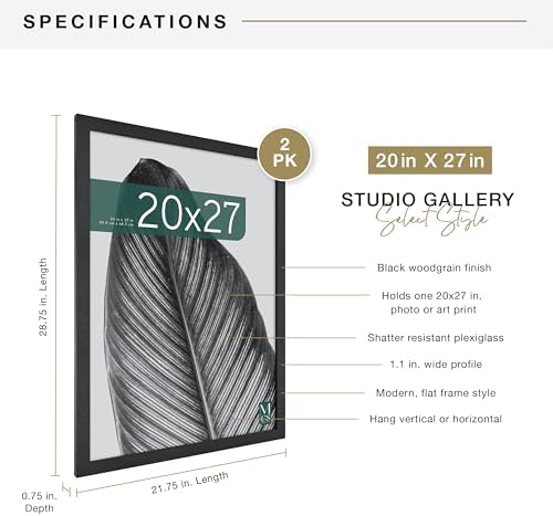MCS Studio Gallery Poster Frame, 20x27, Black Woodgrain, 2-Pack
