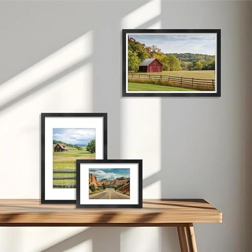 VIOLABBEY 12x18 Poster Frame Set of 5, Fit 11x17 Pictures with Mat, Black