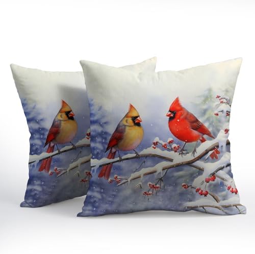 Cardinal Birds Throw Pillow Cover Winter Sweet Bird Pillowcase 20x20 Inch Set of 2 Christmas Holiday Cushion Covers for Home Patio Sofa Bedroom Decor