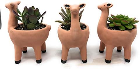 Cute Llama Planter in Terracotta Color for Succulent Cactus Small House Plants 3.25 Inch Indoor Outdoor Planter