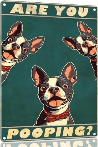 Metal Sign Boston Terrier Are You Pooping Sign Vintage Funny Sign Retro Aluminum Tin Signs for Home Farm Garden Bar Bathroom Kitchen 12x16 Inches(175B)