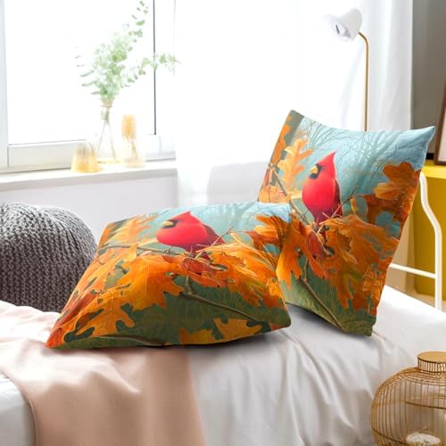 Fall Cardinal Throw Pillow Covers 20x20 Inch Set of 2 Red Bird Maple Leaves Decorative Pillowcase Autumn Foreset Landscape Seasonal Cushion Cover for Home Bedroom Sofa Chair Decor