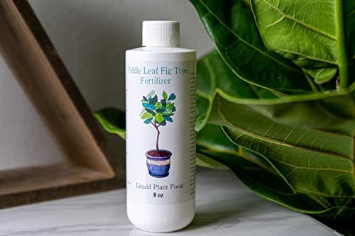 Fiddle Leaf Fig Tree Fertilizer | Ficus Plant Food | Improves Leaves and Branches | Potted Indoor Trees and House Plants Treatment by Aquatic Arts