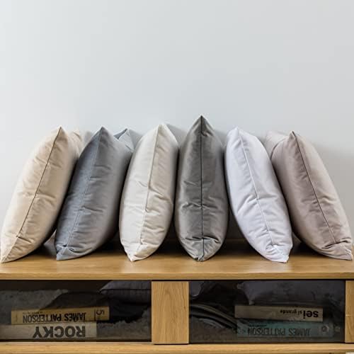 JUSPURBET 26x26 Euro Velvet Throw Pillow Covers Set of 2,Gray