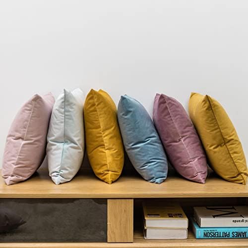 JUSPURBET 12x20 Lumbar Velvet Throw Pillow Covers Set of 2,Light Blue
