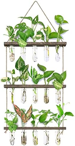 XXXFLOWER Wall Hanging Propagation Station with Wooden Stand 5 Glass Test Tubes 3 Tiered Planters Wall Terrarium for Home Office Plant Hanger Flower Vases Wall Decor Hydroponic Cuttings