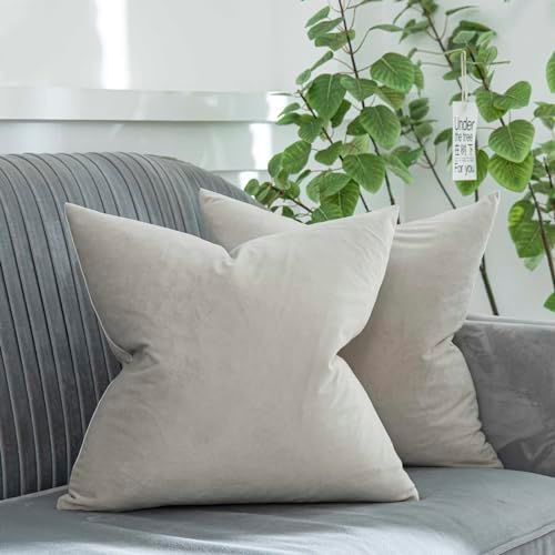 Cashmere Decorative Velvet Throw Pillow Covers 20x20 inch Set of 2 with Zipper Luxury Soft Solid Square Cushion Covers Case for Sofa Couch Bed Living Room
