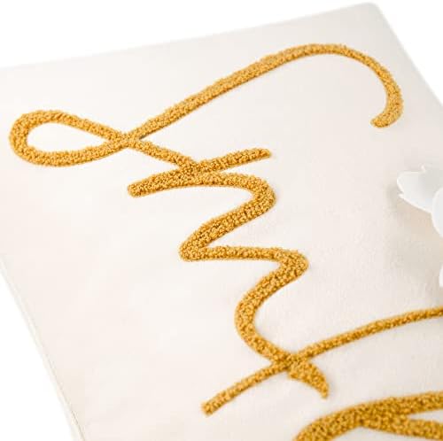 OiseauVoler 3D Flower Embroidered Smile Throw Pillow Covers 12x20 Inch