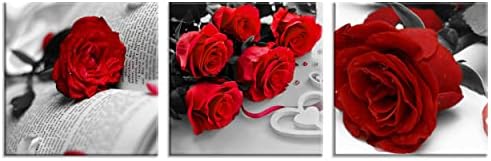 NAN Wind Canvas Print 3 Pcs Black and White Red Rose Canvas Art Painting Abstract Wall Art Decorations Flower Picture on Canvas for Home Decor Stretched and Framed (20X20inchX3pcs, Rose Book)