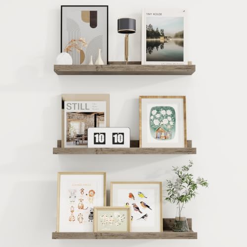 Axeman 20 Inch Floating Shelves, Grey Picture Ledge Shelf Set of 3