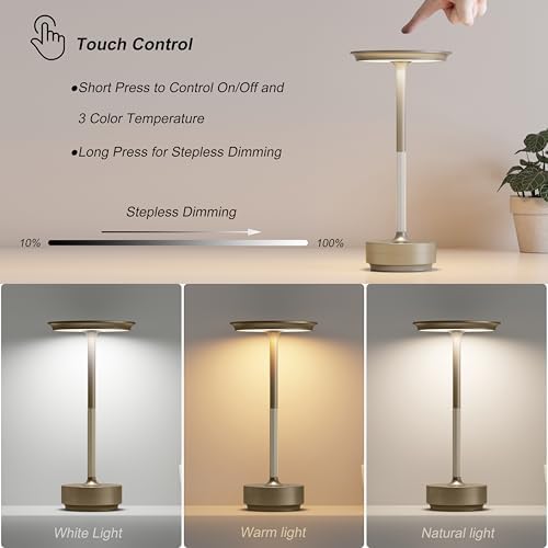 TBBGA 2 Pack Rechargeable Table Lamps Cordless, 5000mAh Outdoor Table Light